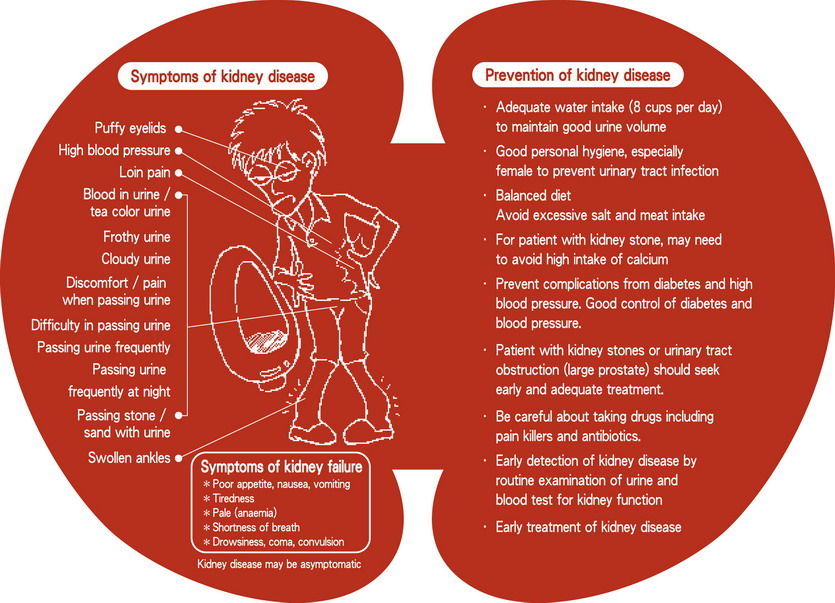 nephrotic disease