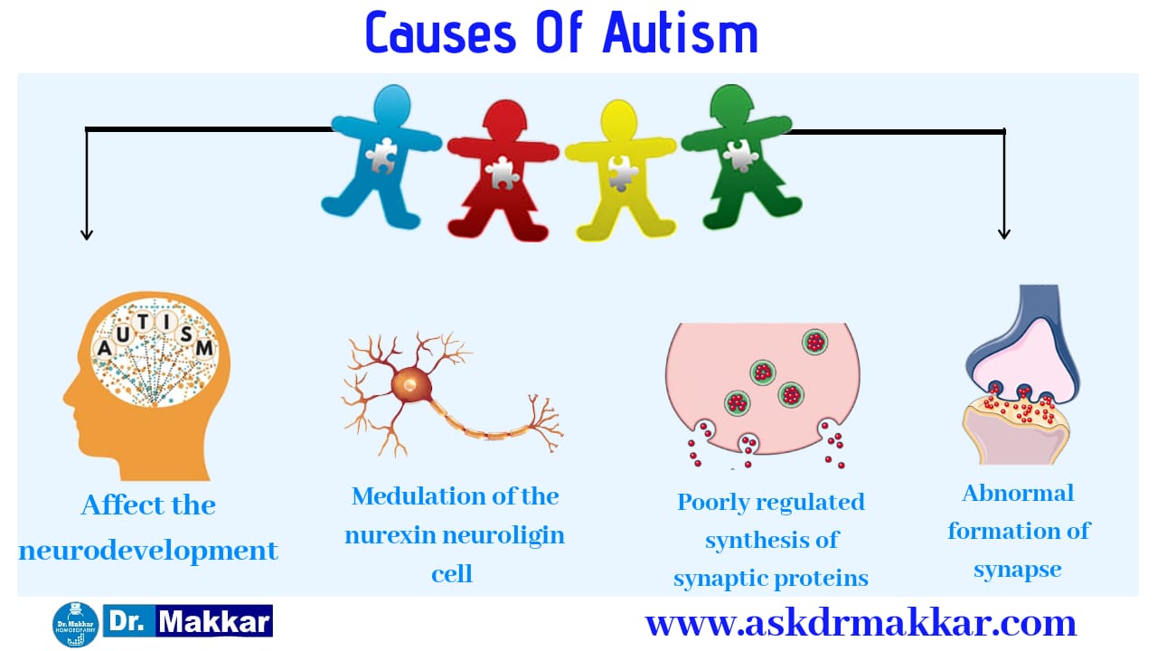 Causes of autism genetic,pregnancy,low birth weight etc