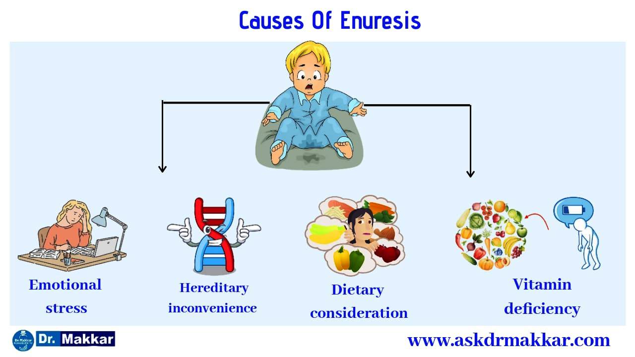 Causes of Enuresis Bed Wetting in children & adults  || बच्चों और वयस्कों में एन्यूरिस बेड वेटिंग के कारण