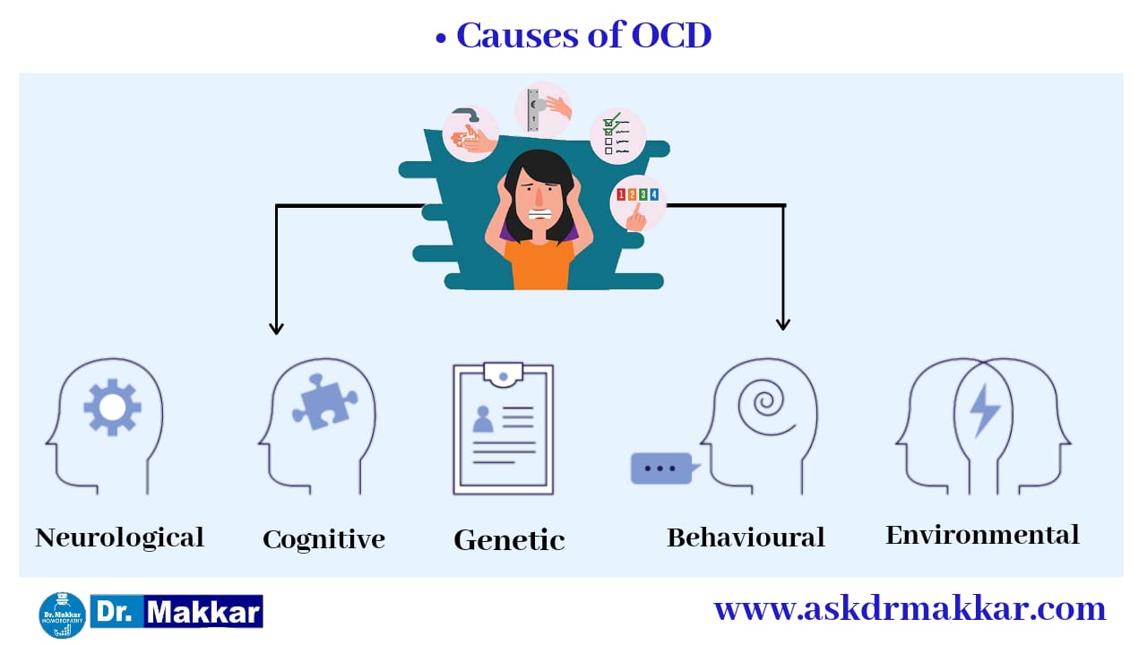 Causes of OCD  Obsessivs Compulsive Disorder