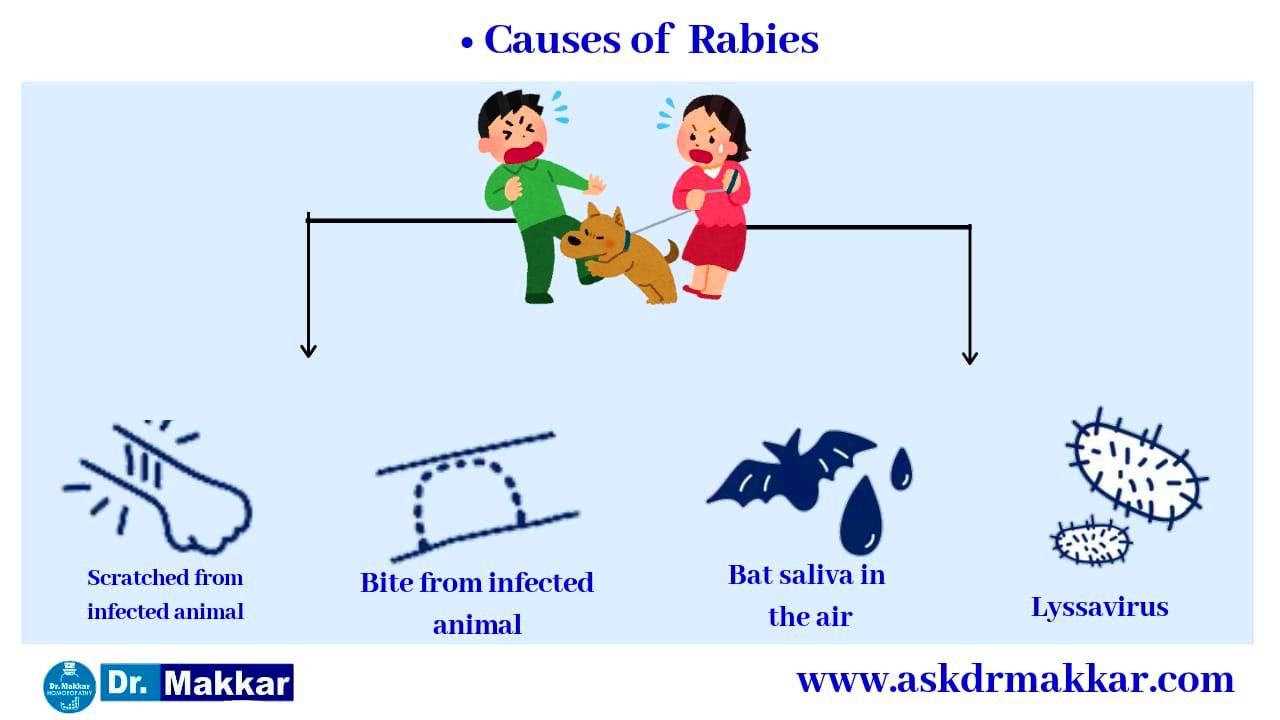 Causes of Rabies