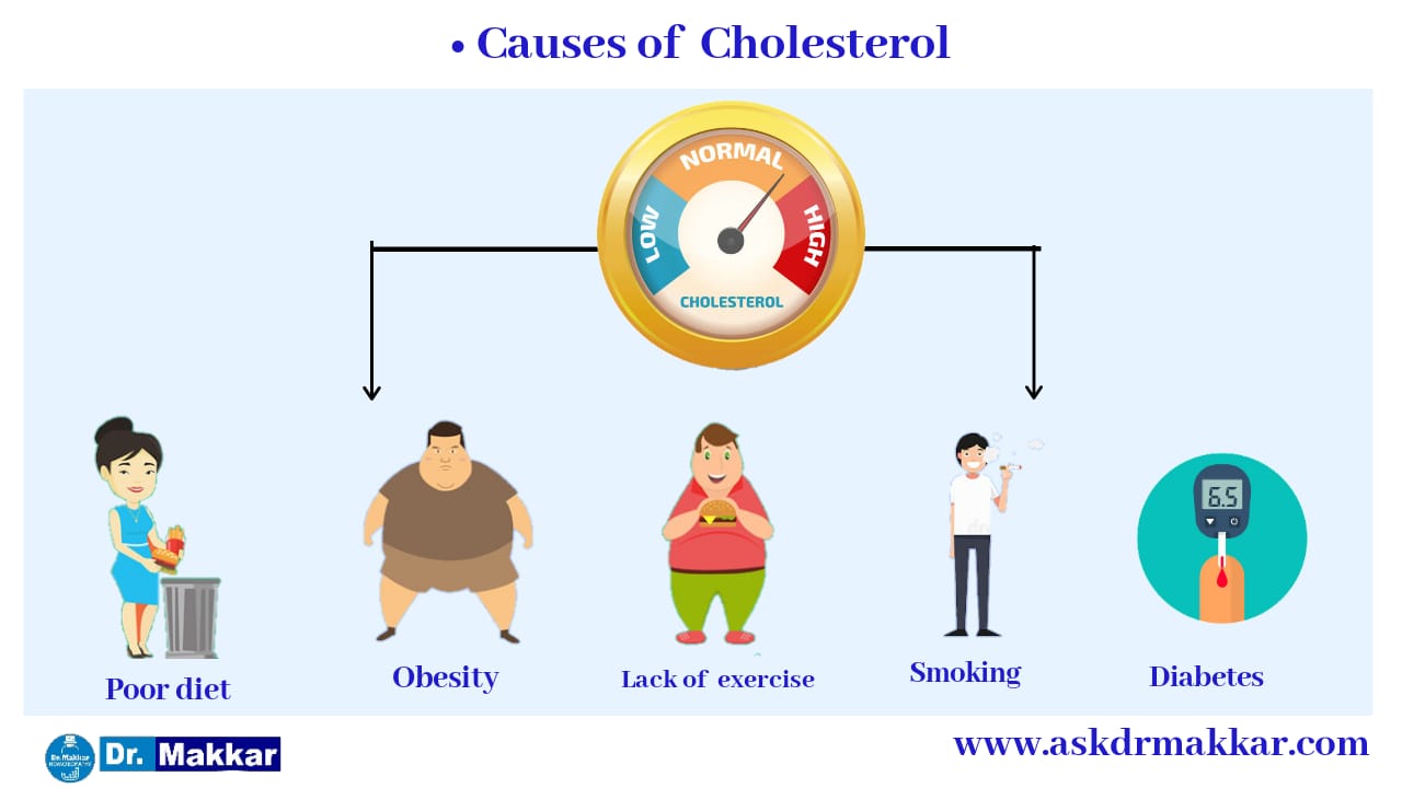 Causes of cholestrol hyperlipidaemia   कोलेस्ट्रोल हाइपरलिपीडिमिया के कारण