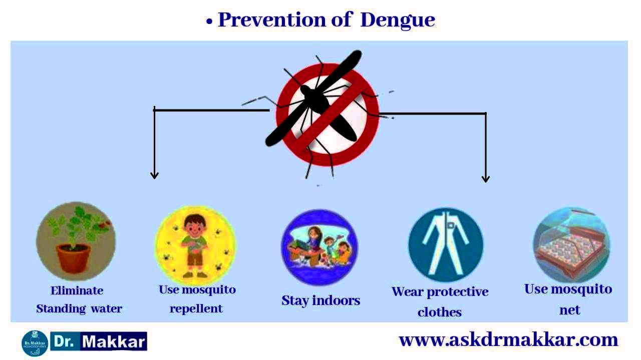 Preventive for Dengue  || डेंगू फीवर बुखार की रोकथाम के कदम 