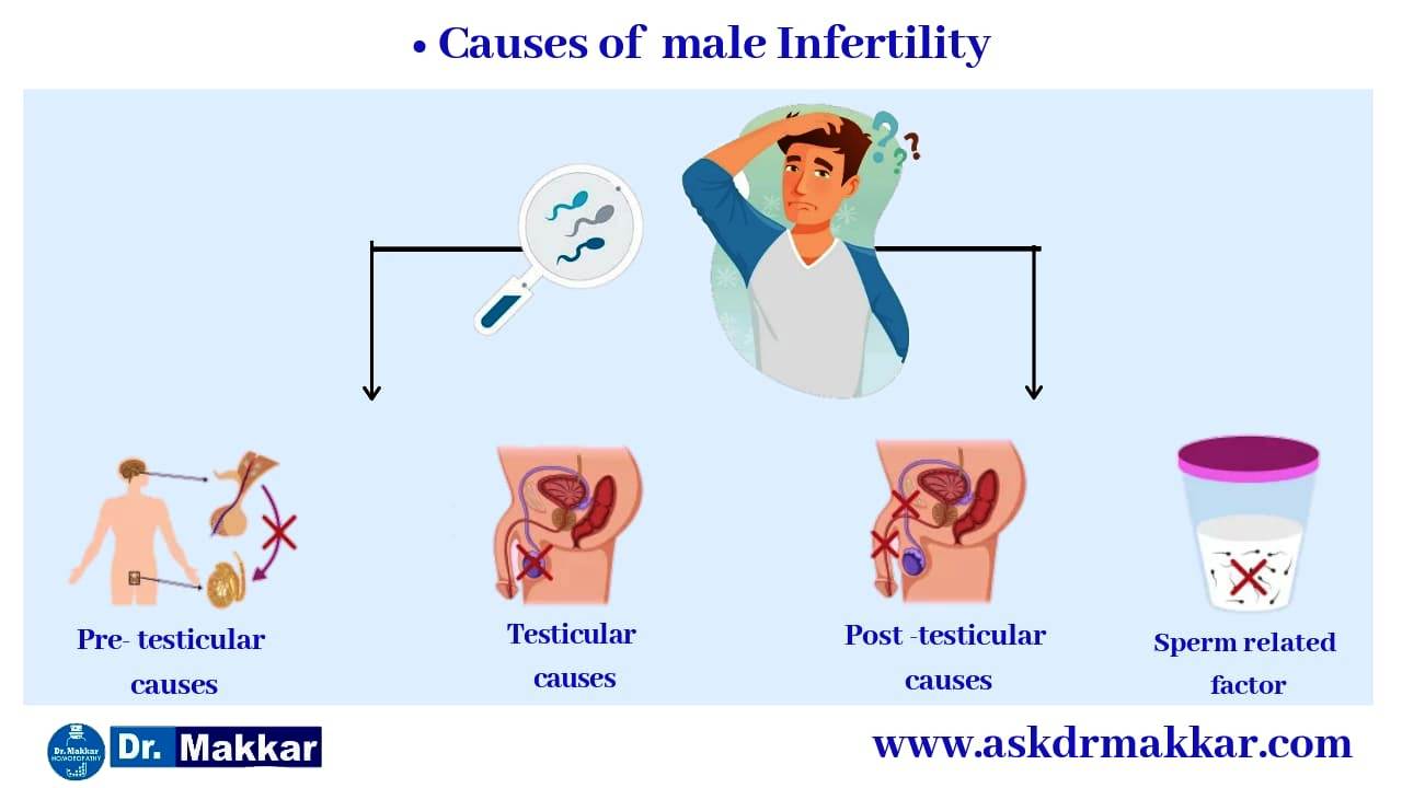  Male Infertility understanding  पुरुष बांझपन समझ