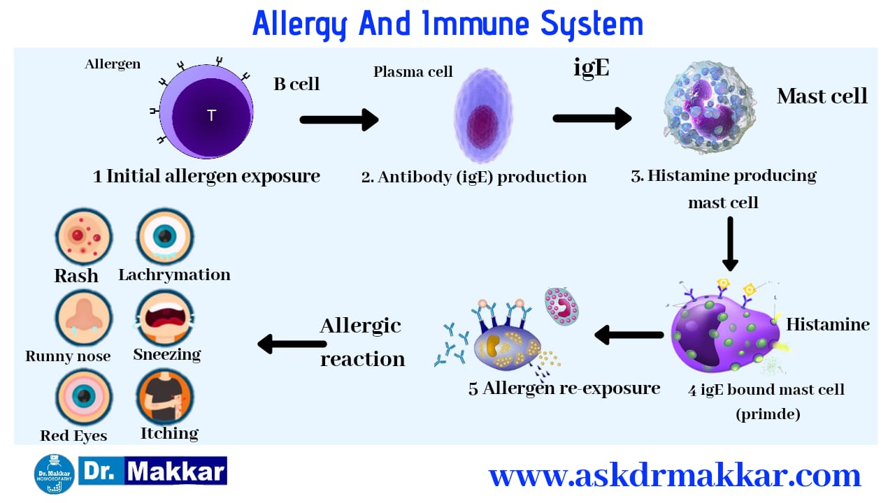 Pathophysiology of Allergy