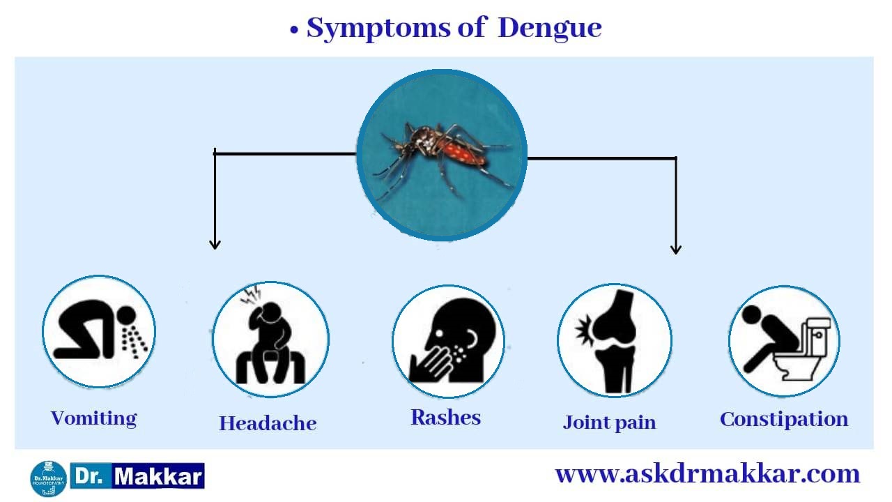 Symptoms of Dengue fever || डेंगू बुखार के लक्षण