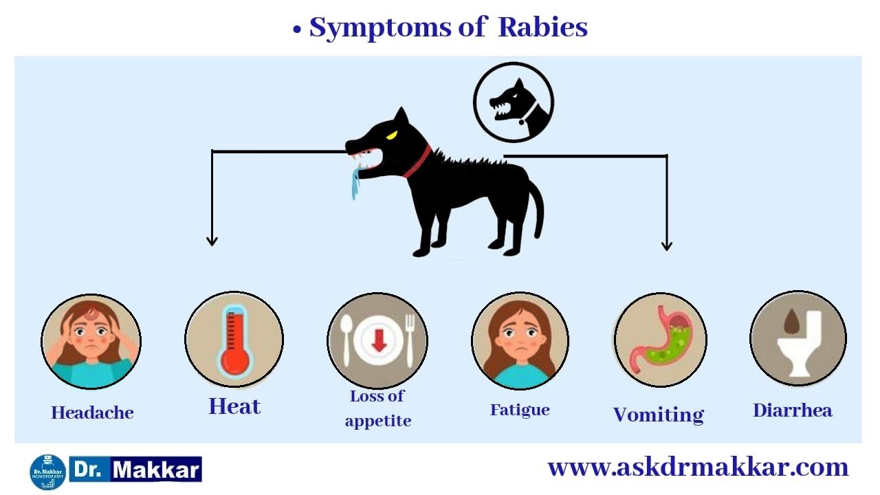 Symptoms and signs of rabies