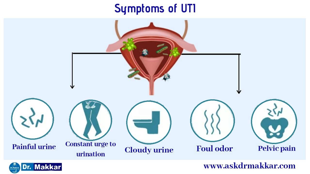 Symptoms of UTI Urinary Tract Infection Cystitis