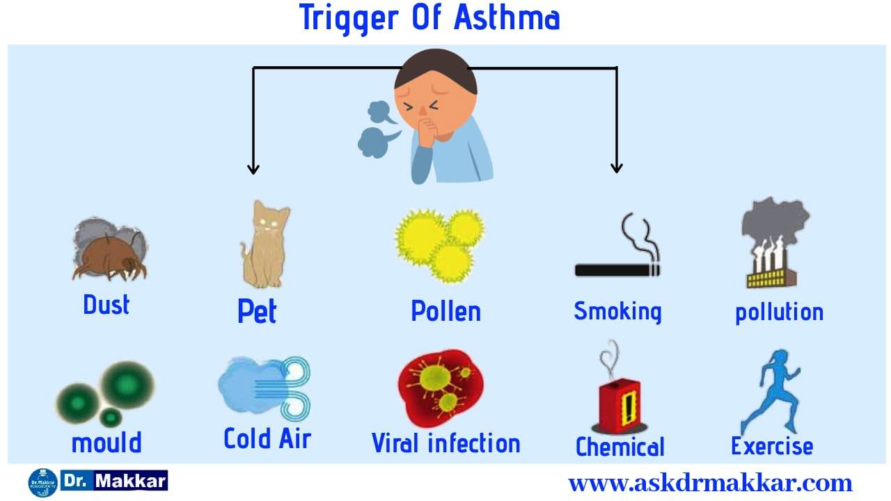 Trigger of Asthma