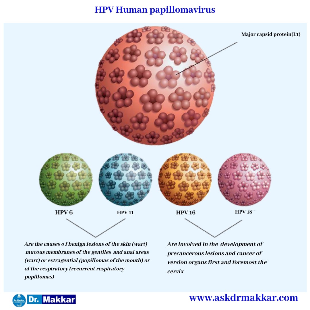 Type of Human Pappiloma Virus HPV || ह्यूमन पेपिलोमा वायरस एचपीवी का प्रकार