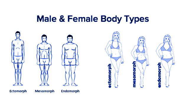 Type of obesity