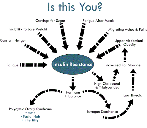 whole body disorder obesity insulin resistance hunger menses thyroid