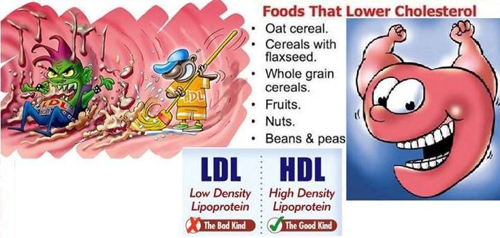 self care measure of cholestrol