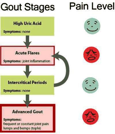 Stages of Uric acid