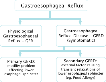 Gastro-esophageal reflux or GERD treatment in Stomach with ...