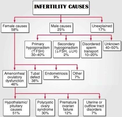 Causes of Infertility Male vs Female graphical analysis
