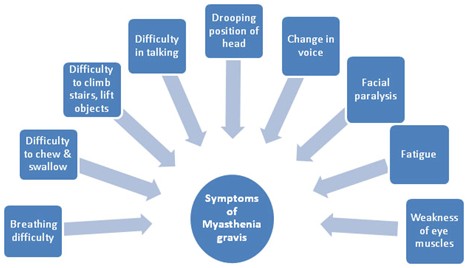 Symptoms of Myasthenia